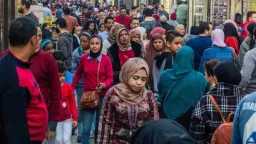 الإحصاء: 48.6 % من المصريين...