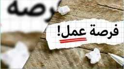 وزارة العمل تعلن عن 11...