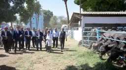 مدبولي يوجه بطرح مشروع محطة...