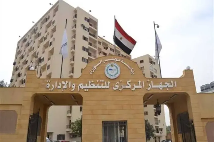 التنظيم والإدارة