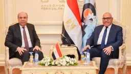 صنع في مصر.. محاكيات مراقبة...