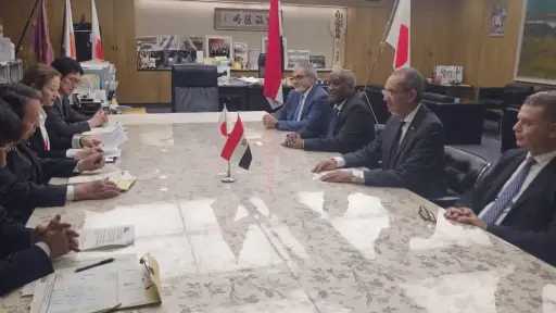 وزير الاتصالات يبحث التعاون في...