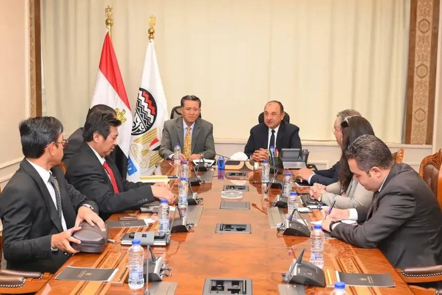 وزير قطاع الأعمال