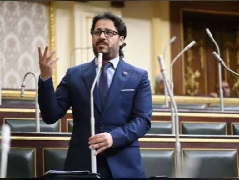 النائب أحمد البرلسي