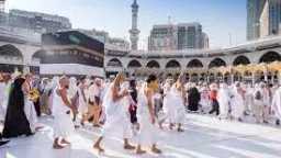 بعثة الحج المصرية تكشف عن...