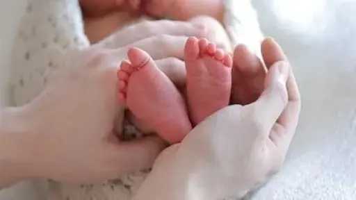 الإحصاء يكشف تراجع معدلات الإنجاب...