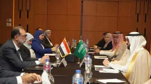 تعاون مصري سعودي لتعزيز التعاون...