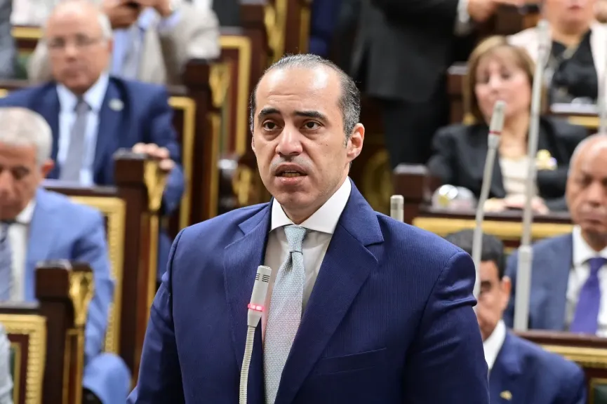 وزير الشؤون النيابية