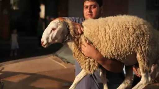 محافظ القاهرة يحذر: غرامة 10...