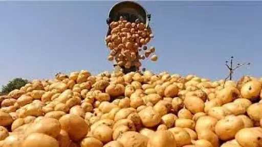 مصر تحقق طفرة غير مسبوقة...