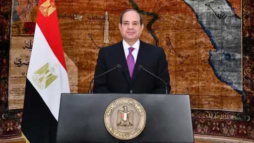 مبادرة ”الرواد الرقميون”.. السيسي يتابع...