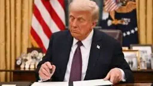 تهجير سكان غزة.. قصة خطة...