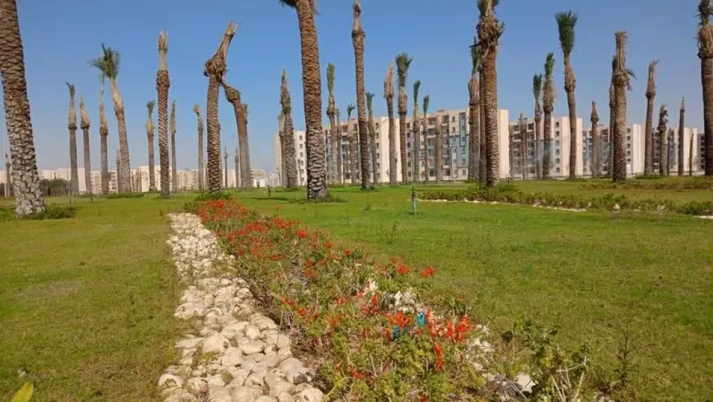 أراضي الحوش بالعاشر من رمضان