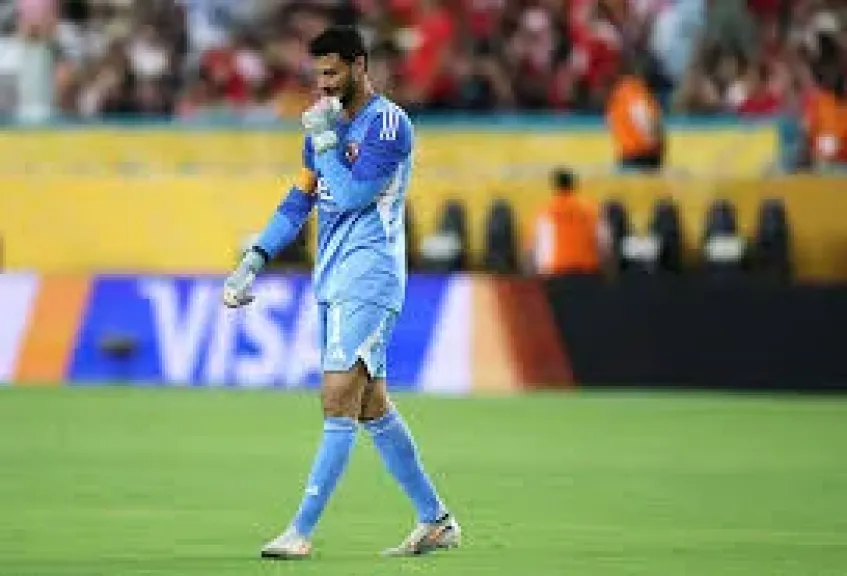 محمد الشناوي