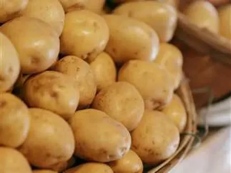 تصدير بطاطس