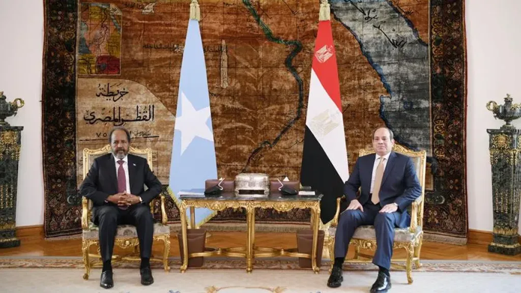 الرئيس السيسي وحسن شيخ محمود