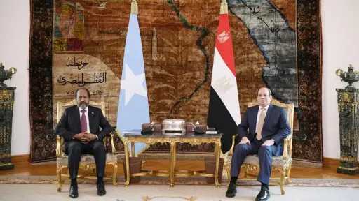 السيسي ورئيس الصومال يناقشان تطورات...
