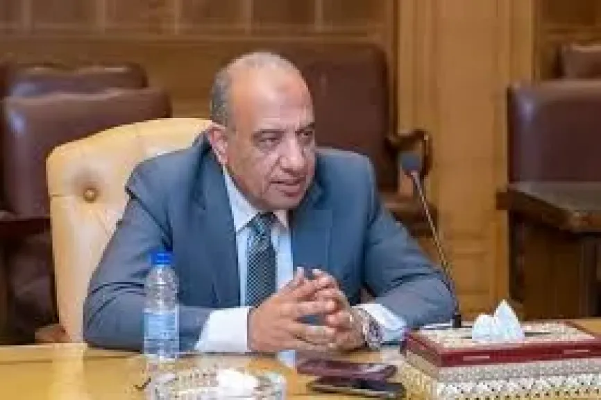 الدكتور محمود عصمت وزير الكهرباء