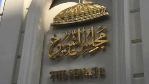ضوابط الترشح لمجلس الشيوخ 2025...
