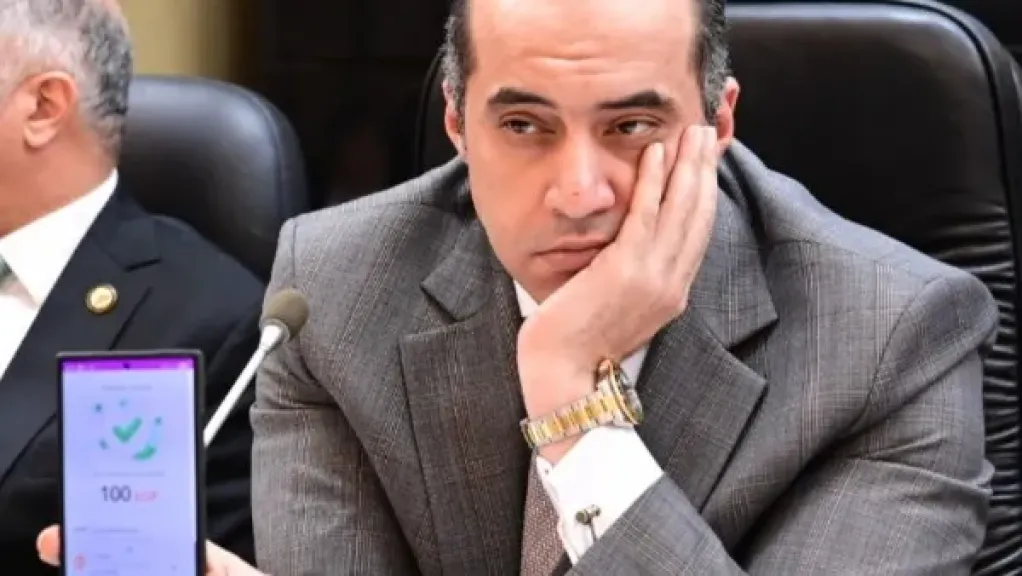 المستشار محمود فوزي