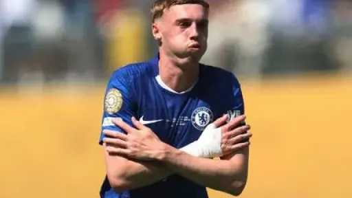 كول بالمر.. من دراجات نيويورك...