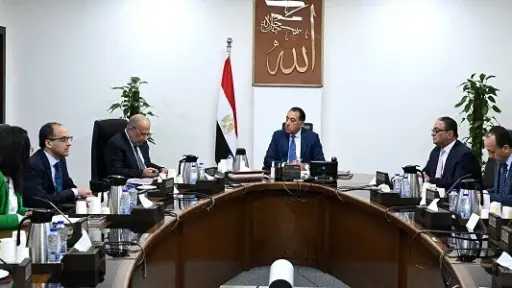 مدبولي: تعزيز الشبكة الكهربائية أولوية...