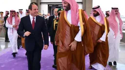 السيسي يتوجّه إلى السعودية لبحث...