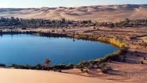 أخبار بالعربي