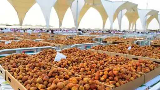 33 ألف طن بـ627 مليون...