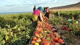 أخبار بالعربي