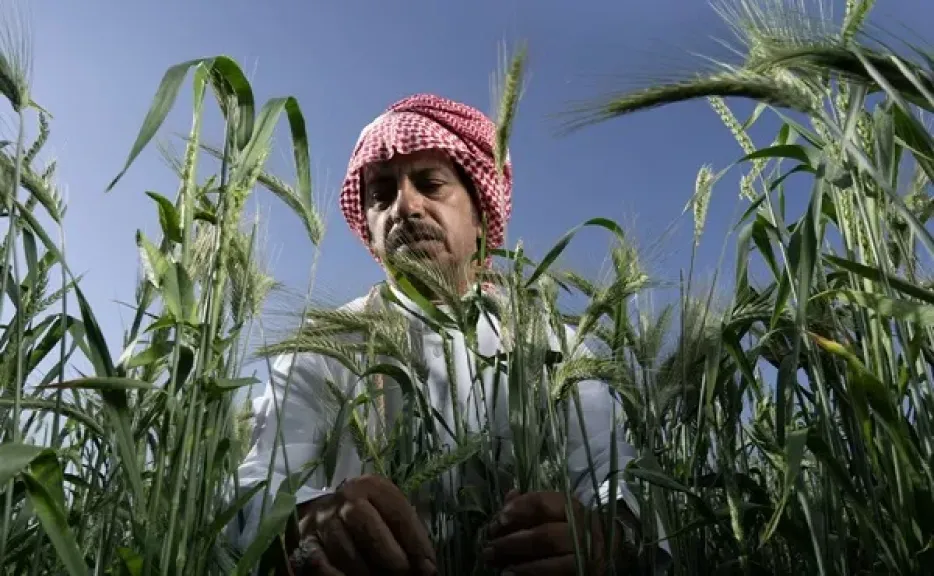 ريف السعودية