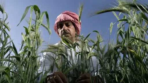 تمكين الأسر المنتجة والمزارعين.. ”ريف...