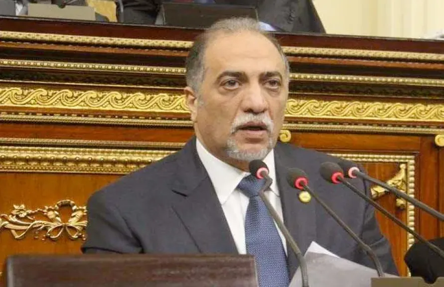 زعيم الأغلبية البرلمانية عبد الهادي القصبي