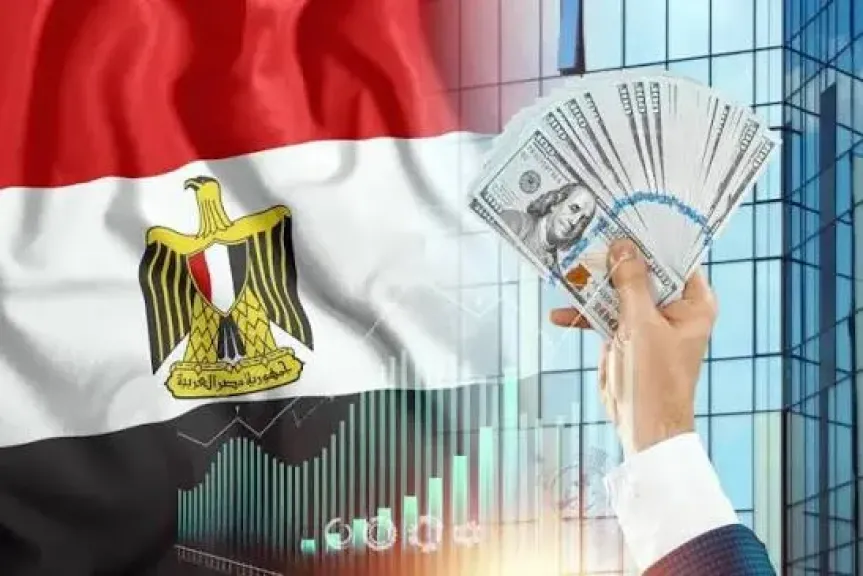 الطروحات الحكومية