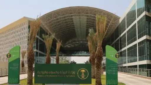 رؤية 2030.. السعودية تطرح ثلاث...