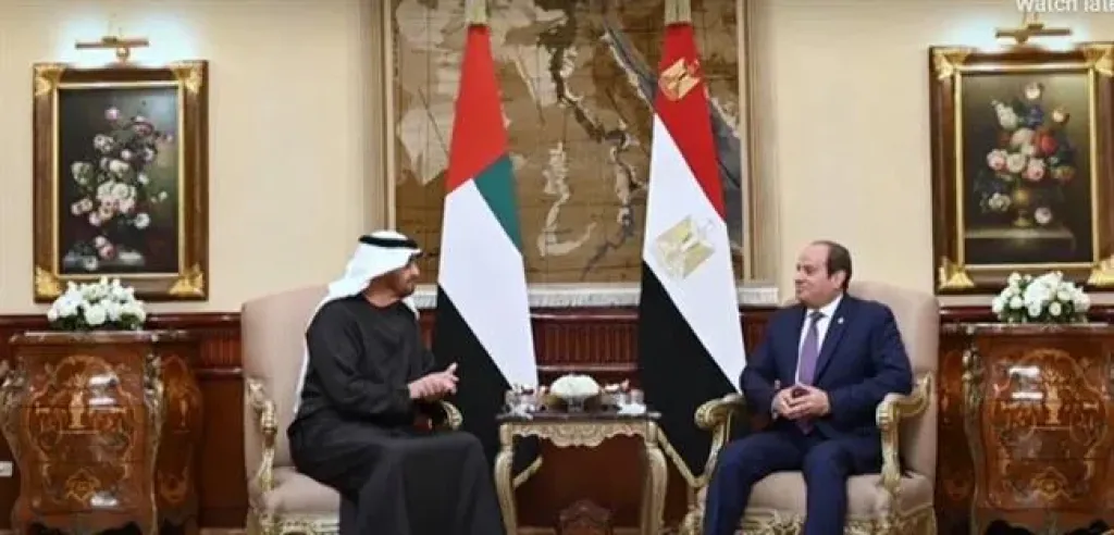 الرئيس السيسي والشيخ محمد بن زايد