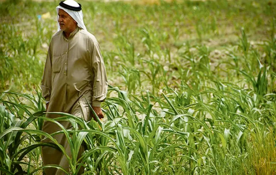 الزراعة في السعودية