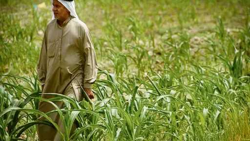 السعودية تصرف 1.4 مليار ريال...