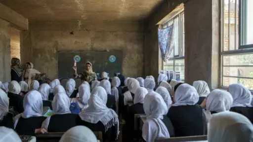 الإحصاء: 13.3 مليون فتاة بمصر...