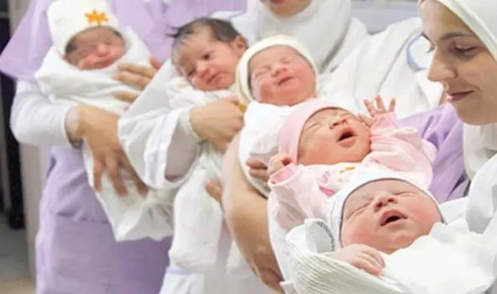 المواليد في مصر