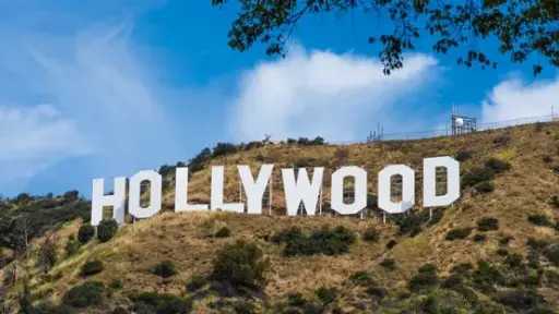 السينما بلا جواز سفر.. الكاميرات...