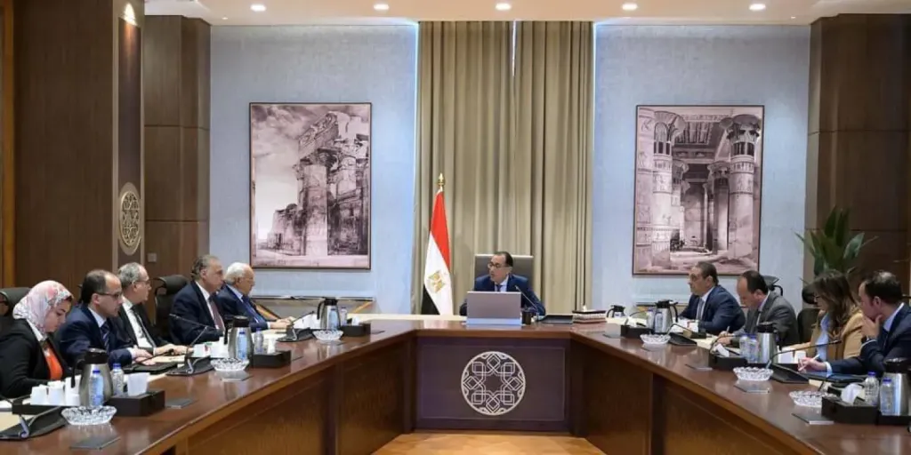 الحكومة المصرية