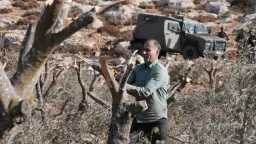 طريق الحقيقة