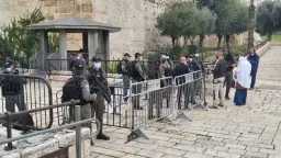 أخبار بالعربي