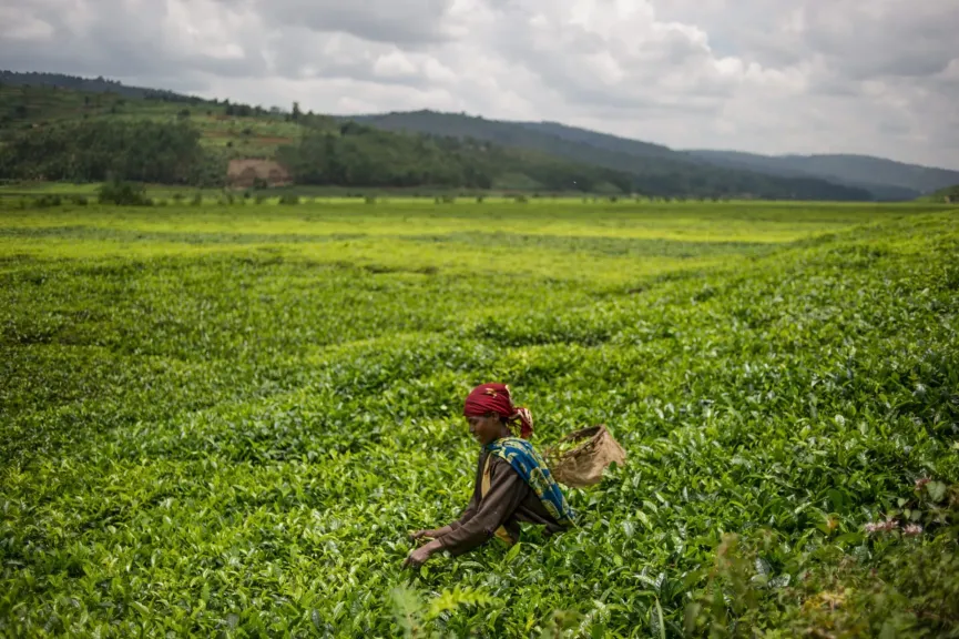 الاستثمار الأجنبي المباشر في أفريقيا