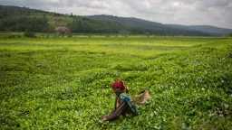 اقتصاد بالعربي