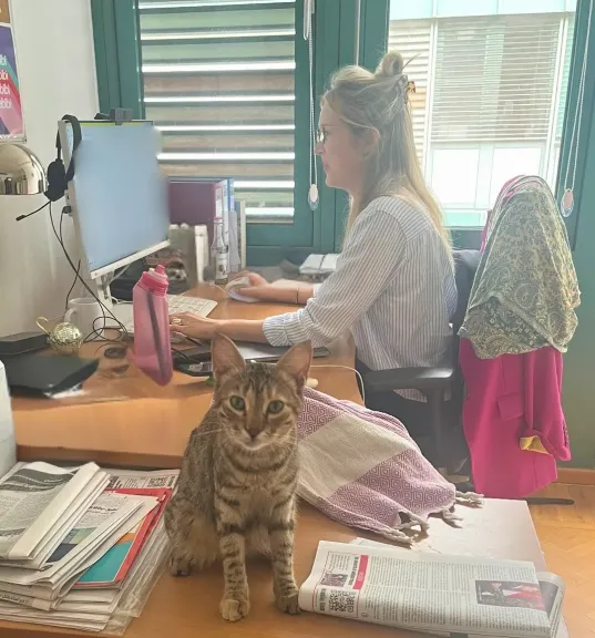 قطة مصرية داخل السفارة الألمانية بالقاهرة