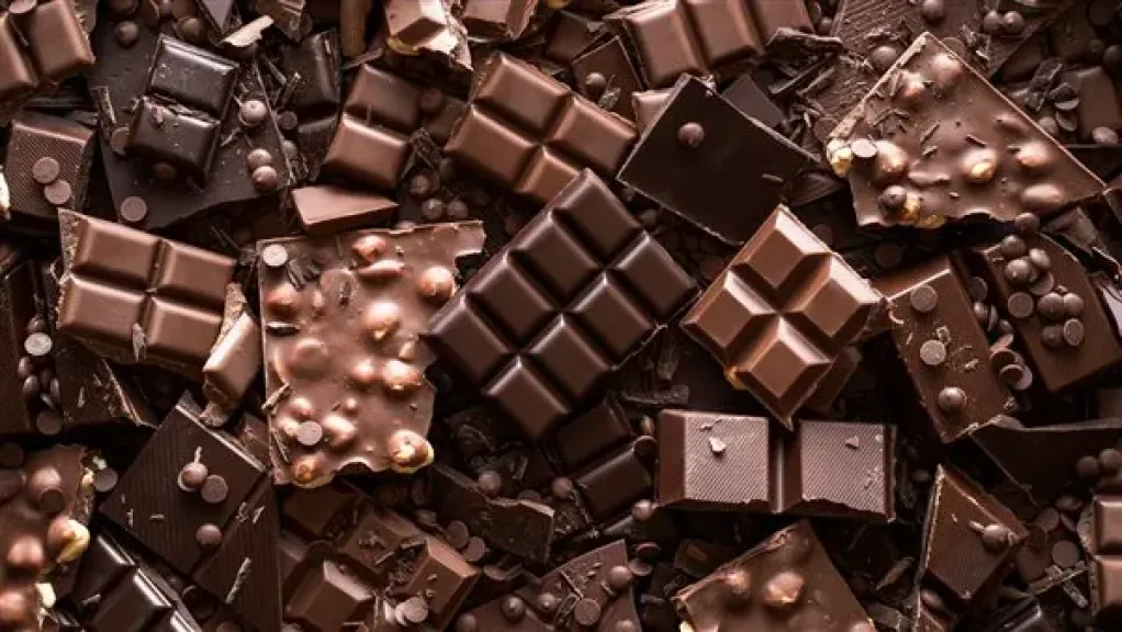 صادرات الشوكولاتة