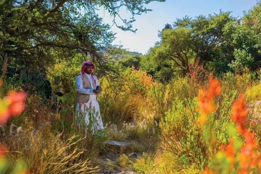 مكافحة التصحر في السعودية