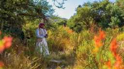 اقتصاد بالعربي